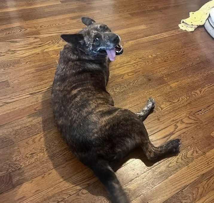 Photo of Frankie