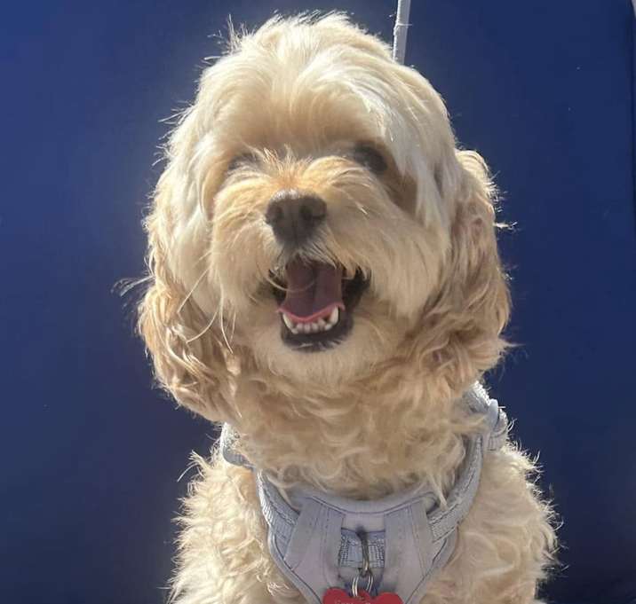 Photo of Skyler