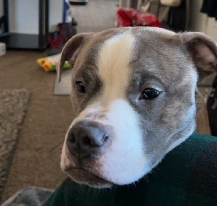 Photo of Hades
