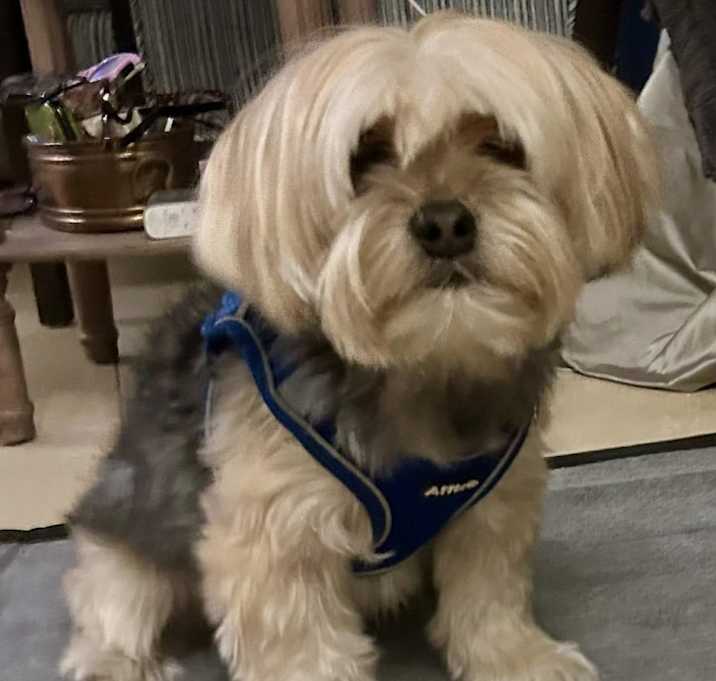 Photo of Barkley