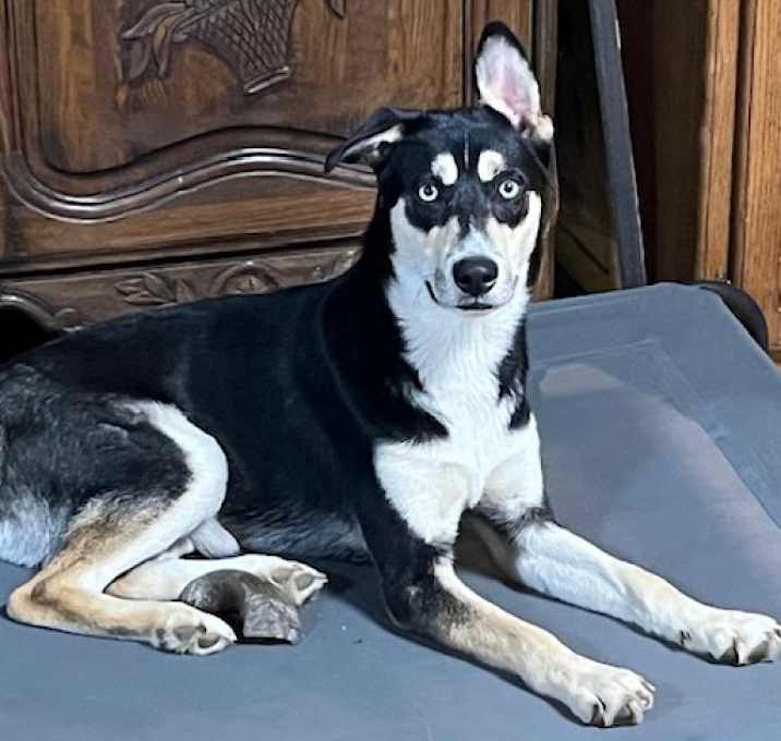 Photo of Groucho