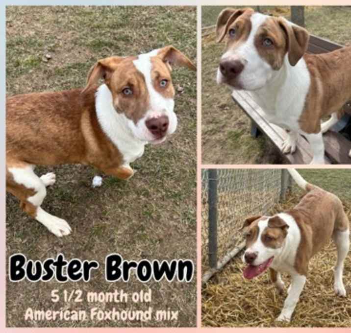 Photo of Buster Brown