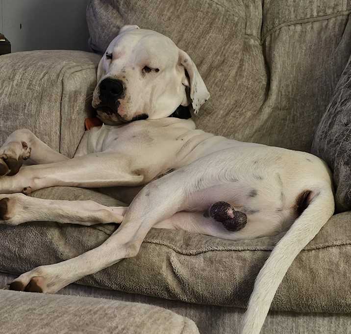 Photo of Slick Rick