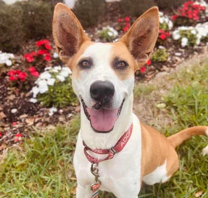 Photo of Lulu