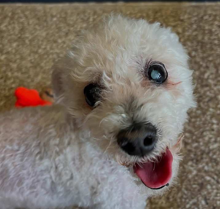 Photo of Mario