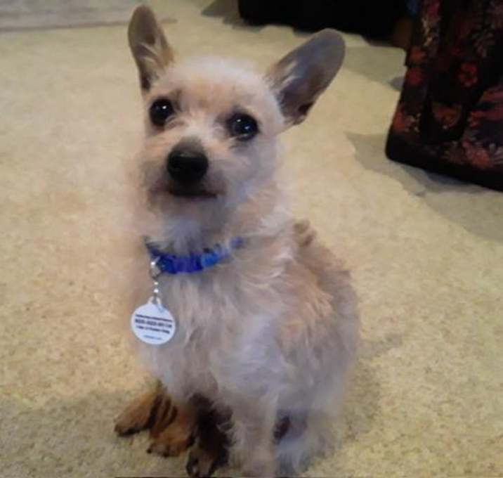 Photo of Disco