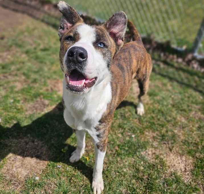 Photo of Zeus