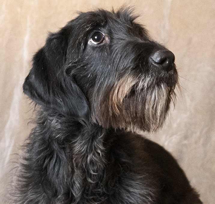 Photo of Paolo