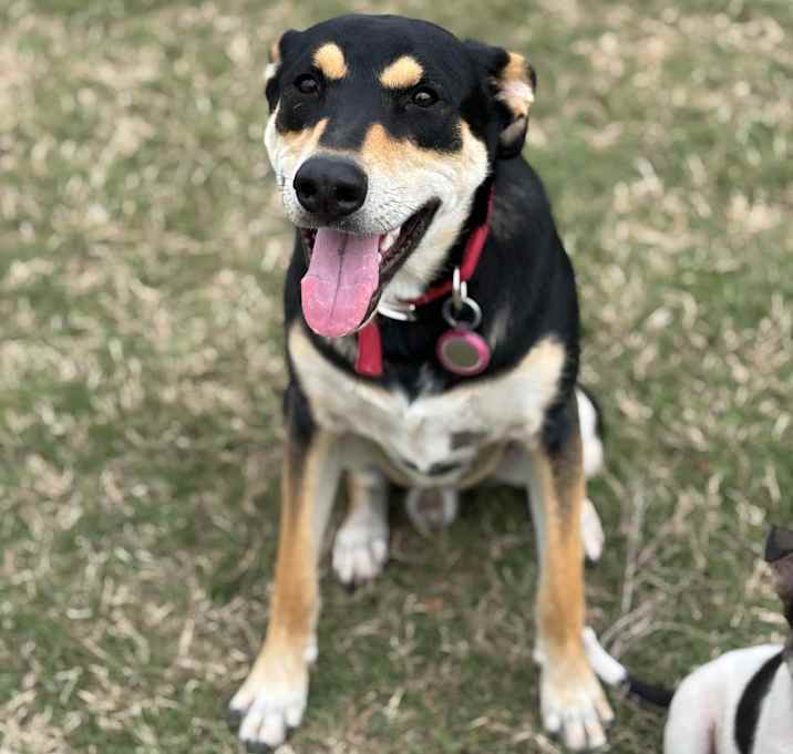 Photo of Zeke