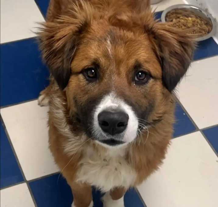 Photo of Bernie