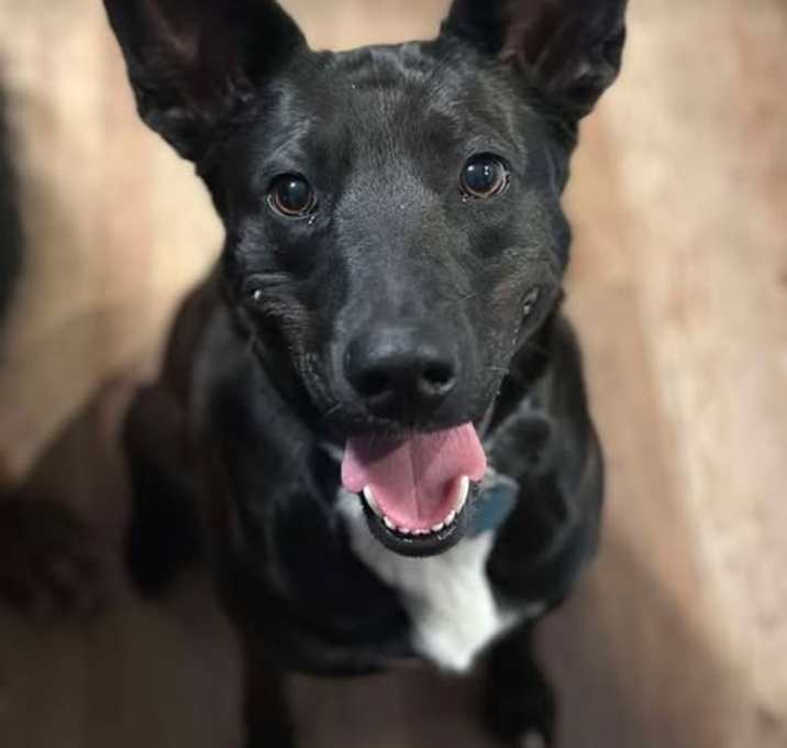 Photo of Freya