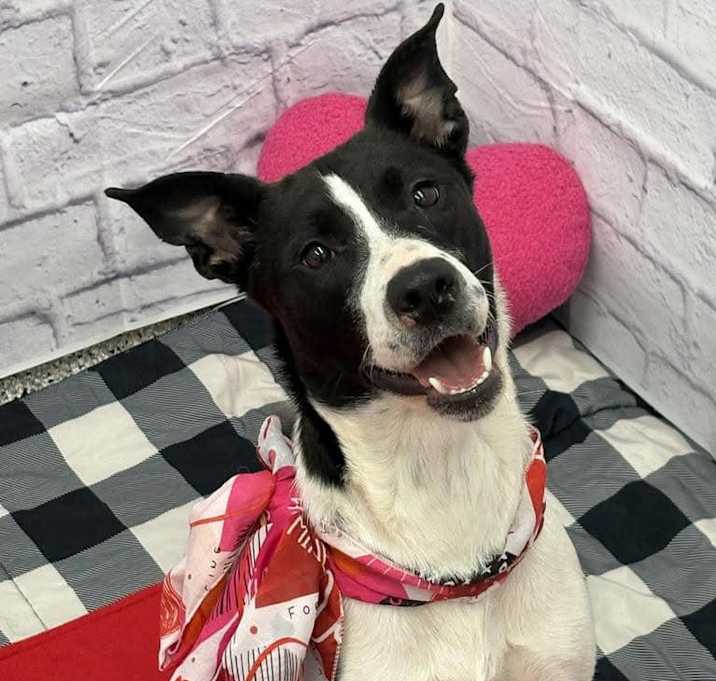 Photo of Coco