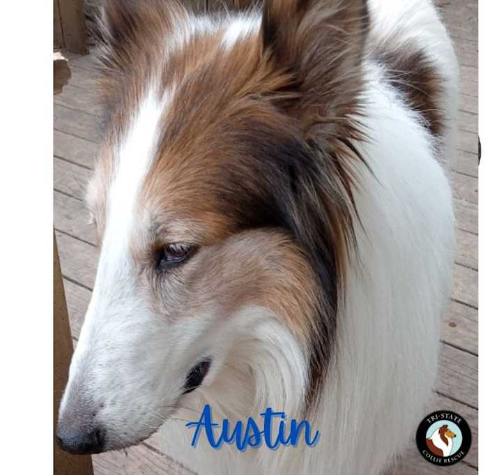 Photo of Austin