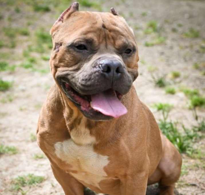 Photo of DA 5 Bruce
