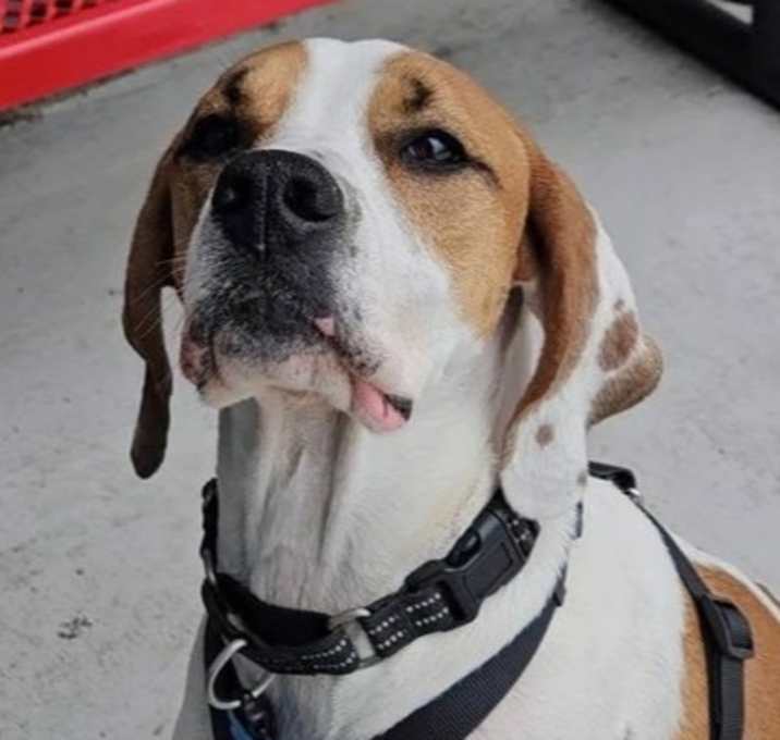 Photo of Oliver