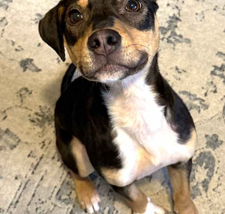 Photo of Archer