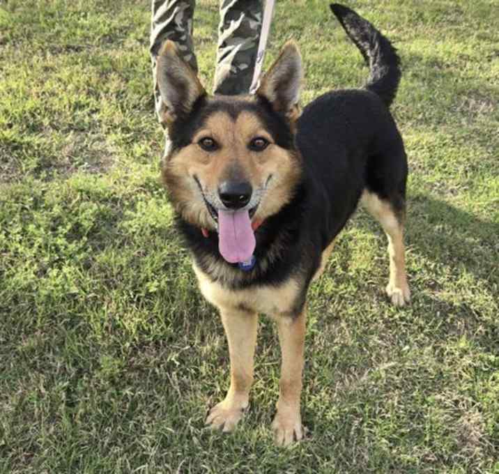 Photo of Buddy