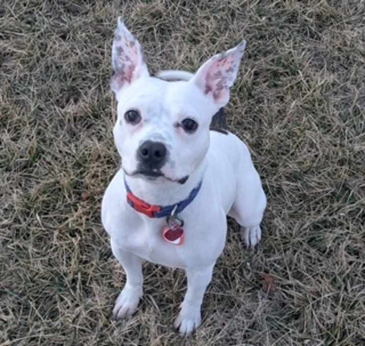 Photo of Freckle