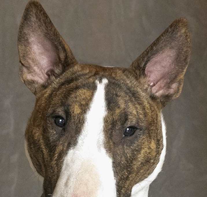 Photo of Rudy