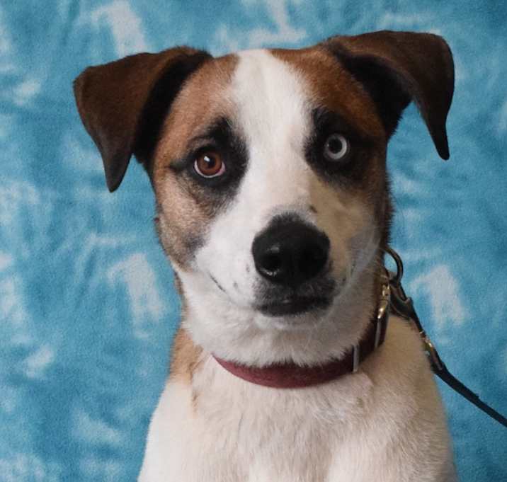 Photo of Shilo
