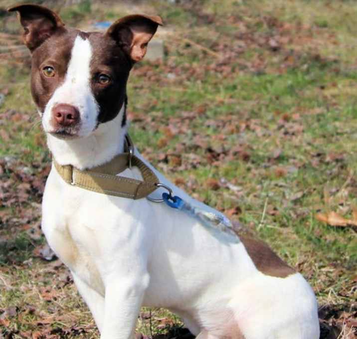 Photo of CLYDE