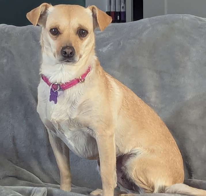 Photo of Cleo