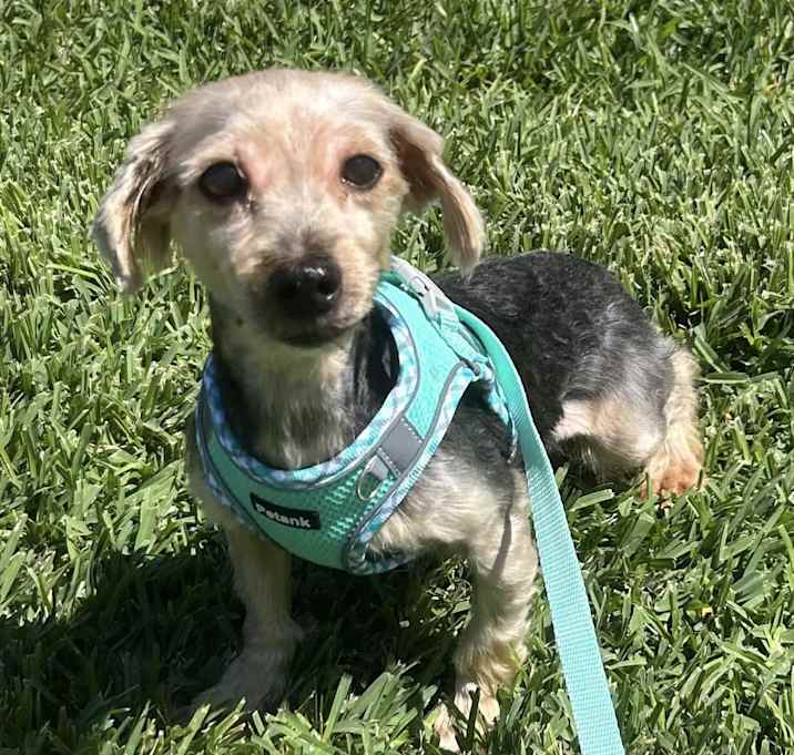 Photo of Delilah
