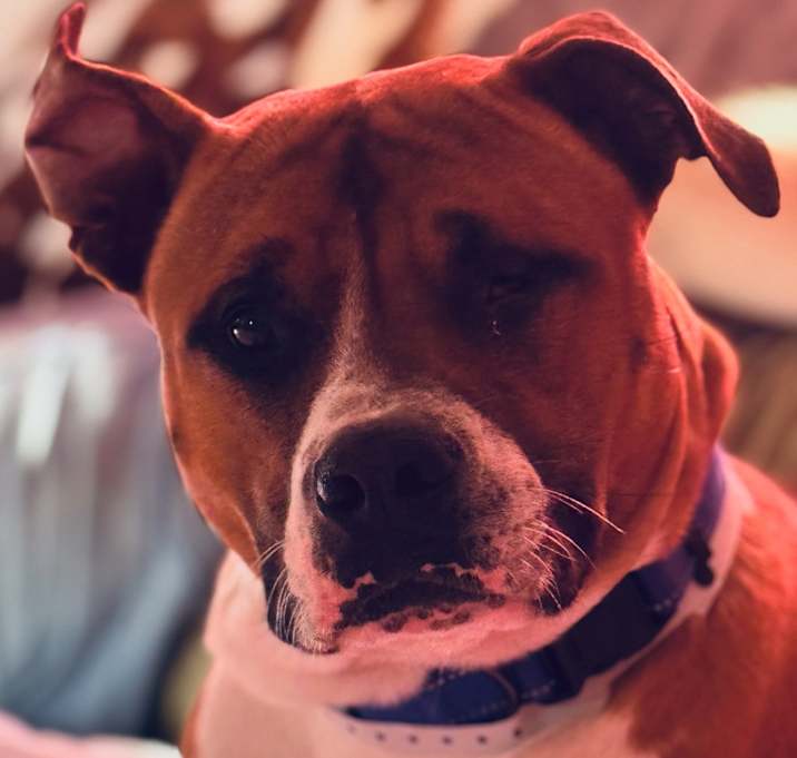 Photo of Jackson