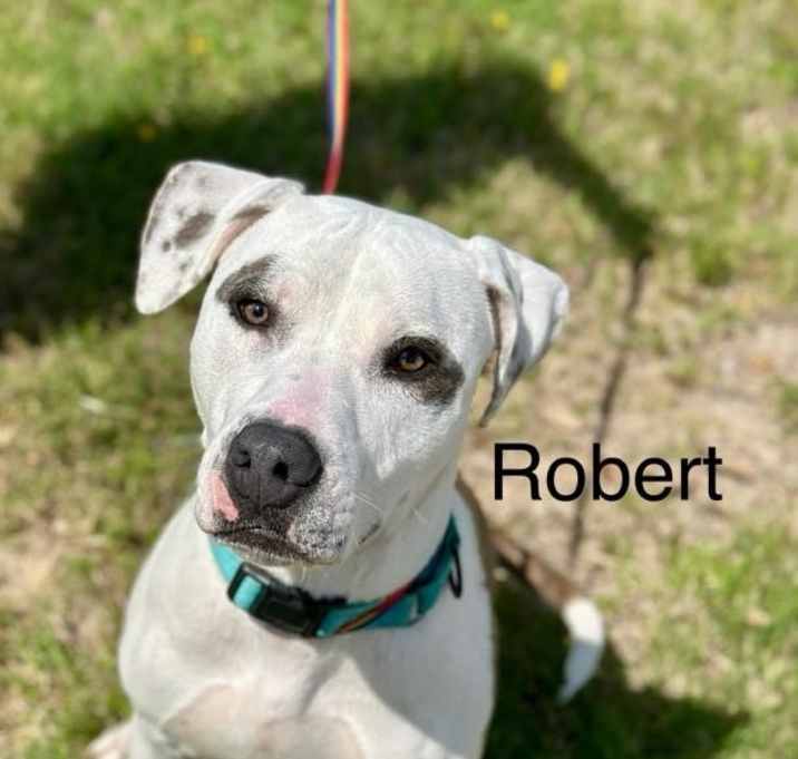 Photo of Robert
