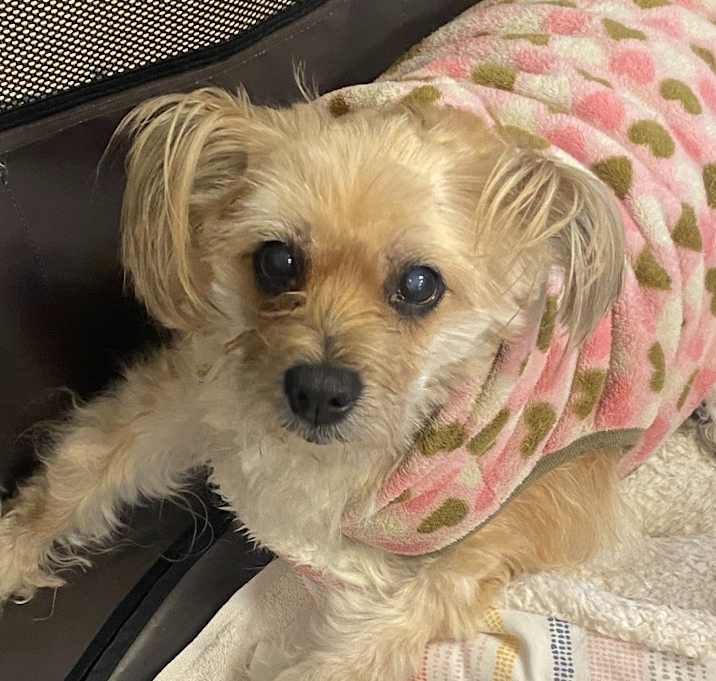 Photo of Zoey