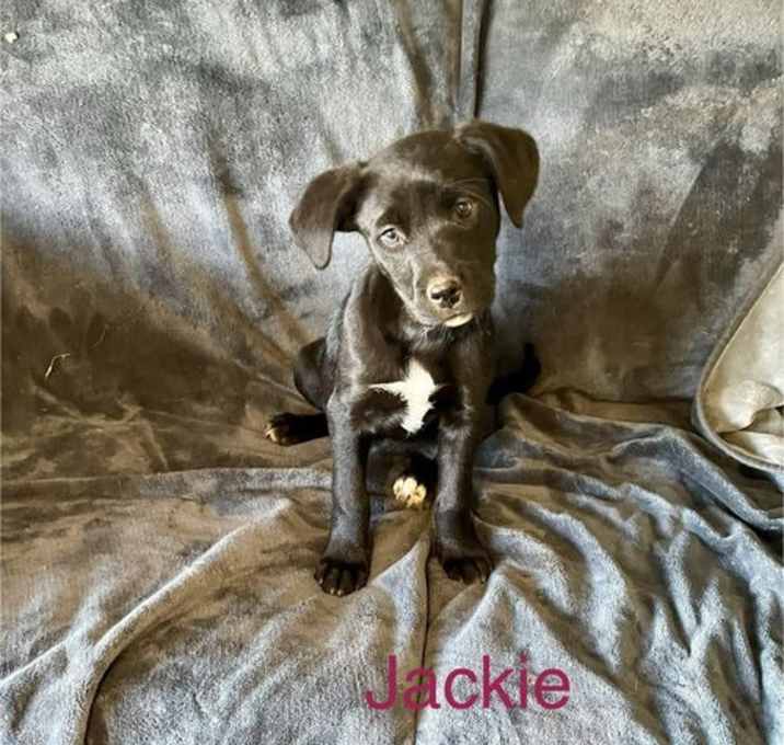 Photo of Jackie