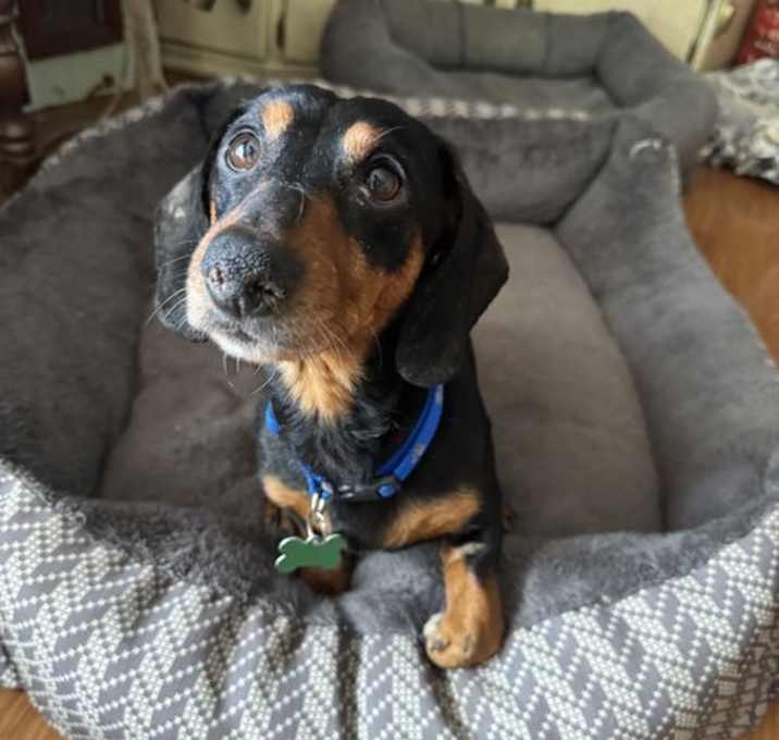 Photo of Ralph
