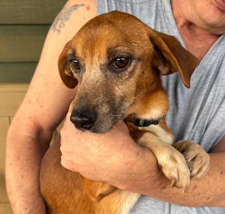 Photo of Woody