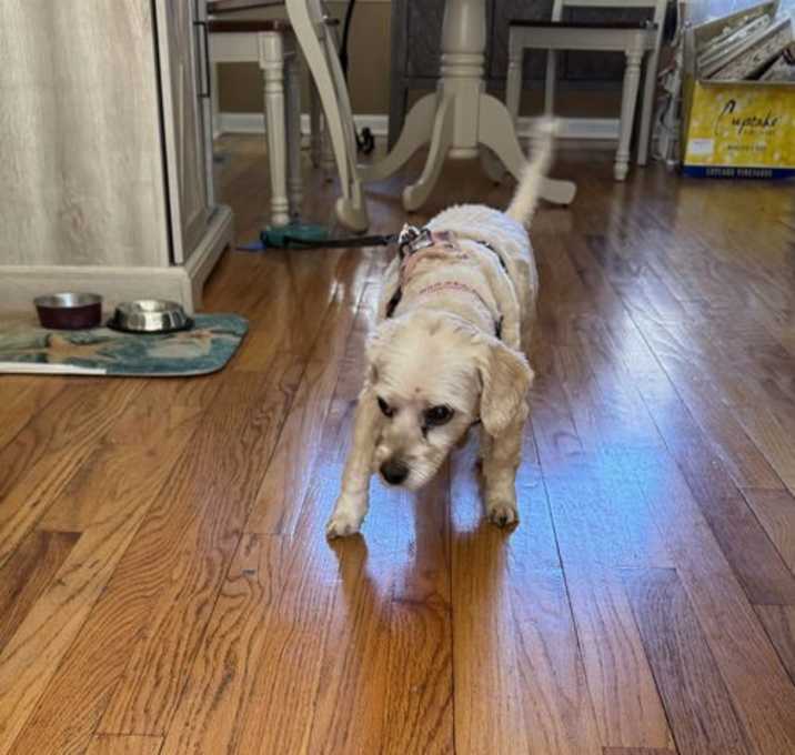 Photo of Zoey
