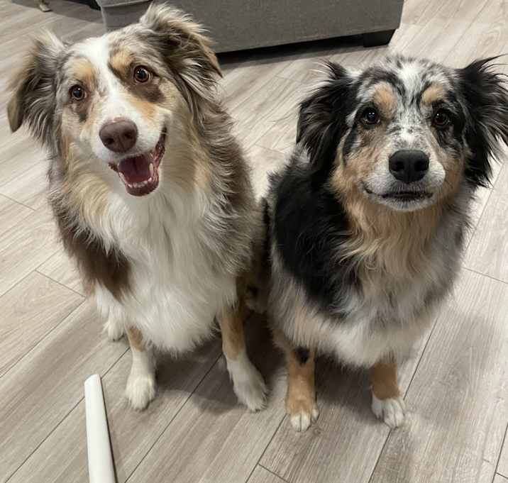 Photo of Emmie and Ollie