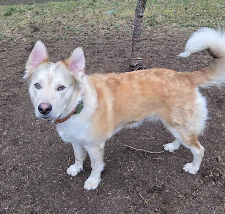 Photo of Junior