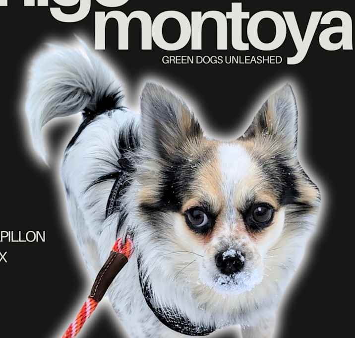 Photo of Inigo Montoya