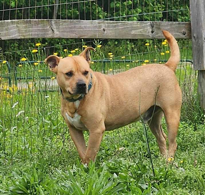 Photo of buddy