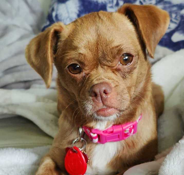 Photo of Chocolata