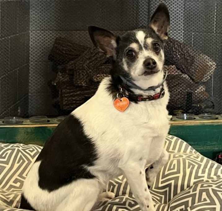 Photo of Miss Bonnie