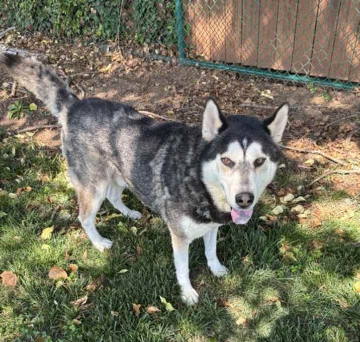 Photo of Baxter