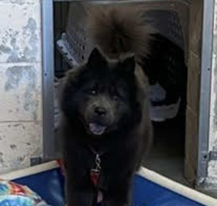 Photo of Kalyria