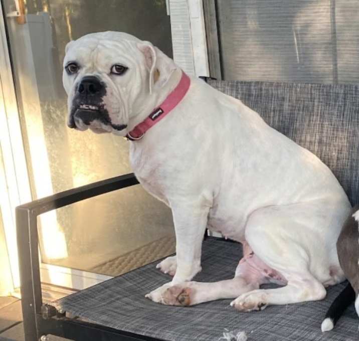 Photo of Khloe