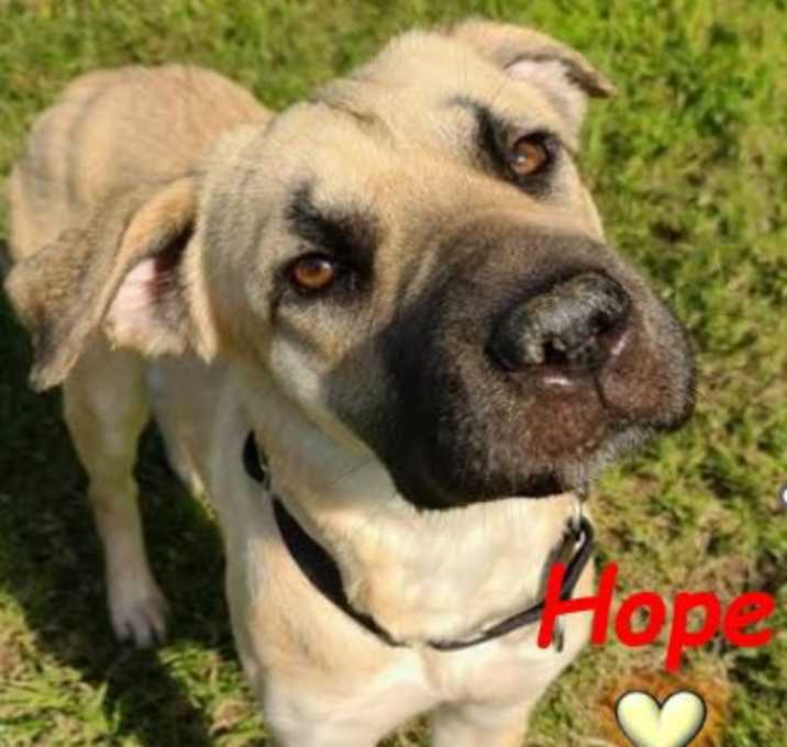 Photo of Hope