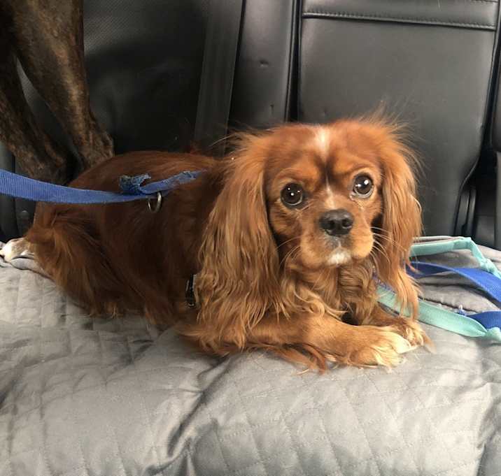 Photo of Mason