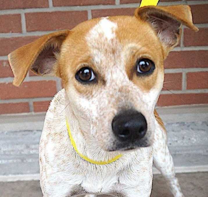 Photo of Thelma