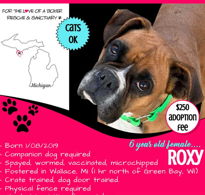 Photo of Roxy