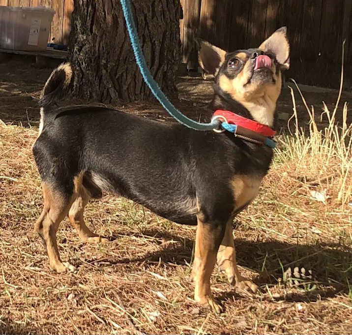 Photo of Oso