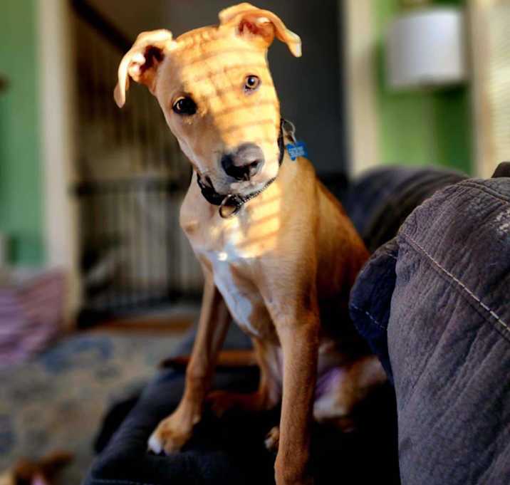 Photo of Max