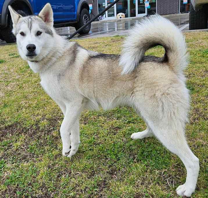 Photo of Maya